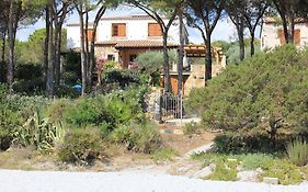 Casa Degli Ulivi